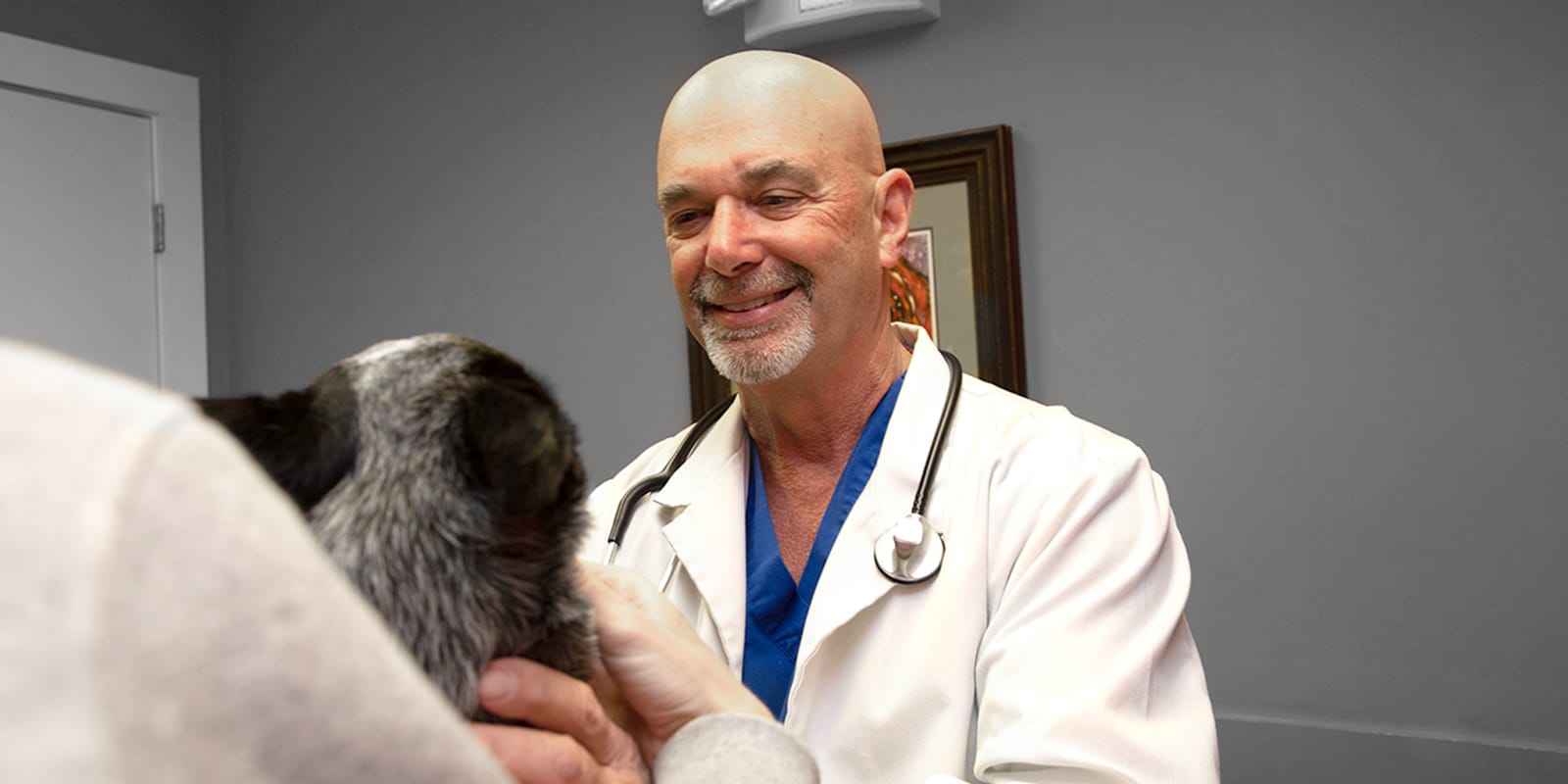 Veterinarians You Can Count On in Charlotte