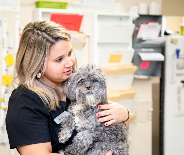 Friendly Animal Hospital Care Team