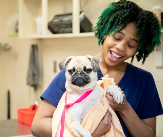 Friendly Animal Hospital Care Team
