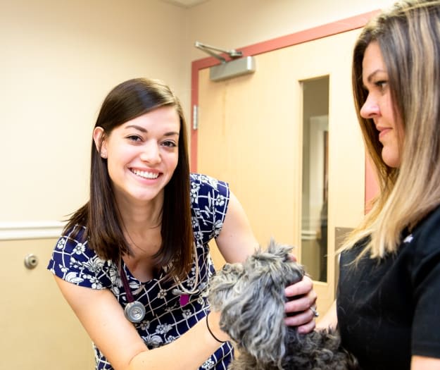 Friendly Animal Hospital Care Team