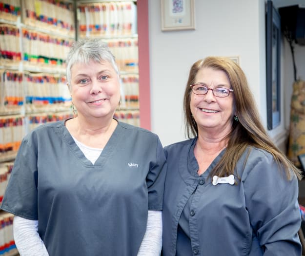 Friendly Animal Hospital Care Team