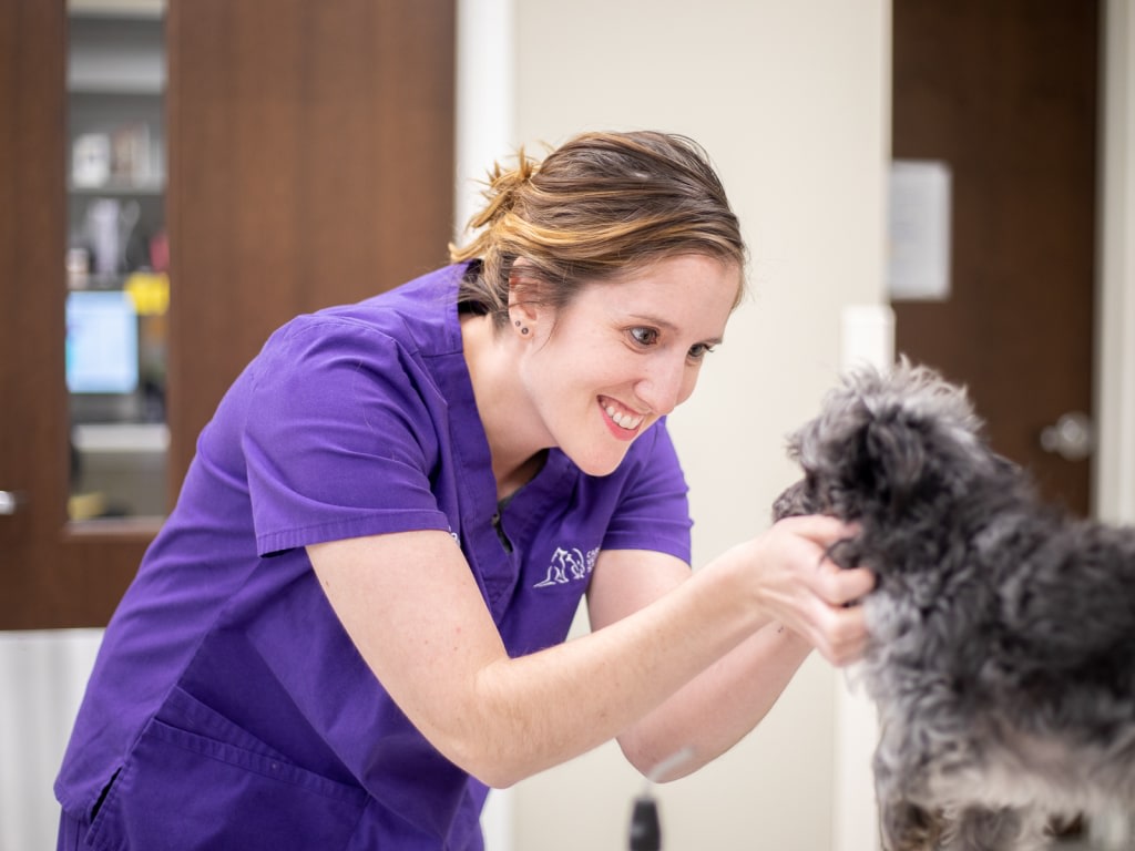 Specialty & Emergency Veterinary Care, Rock Hill