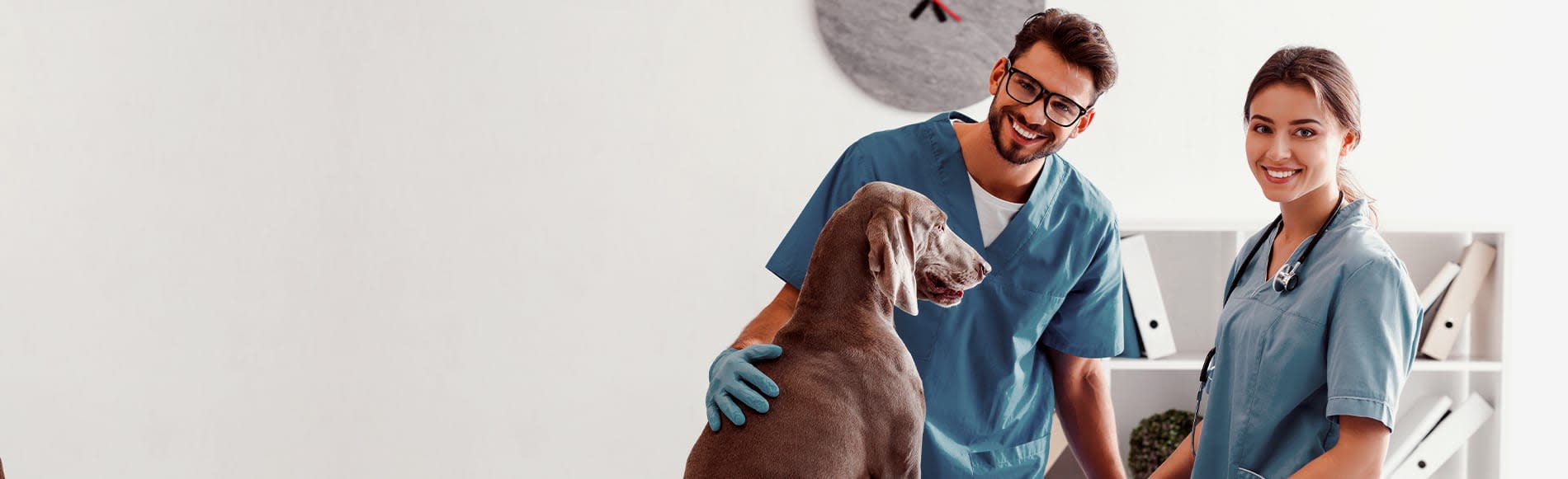 Employees, Pet Vet Care Centers