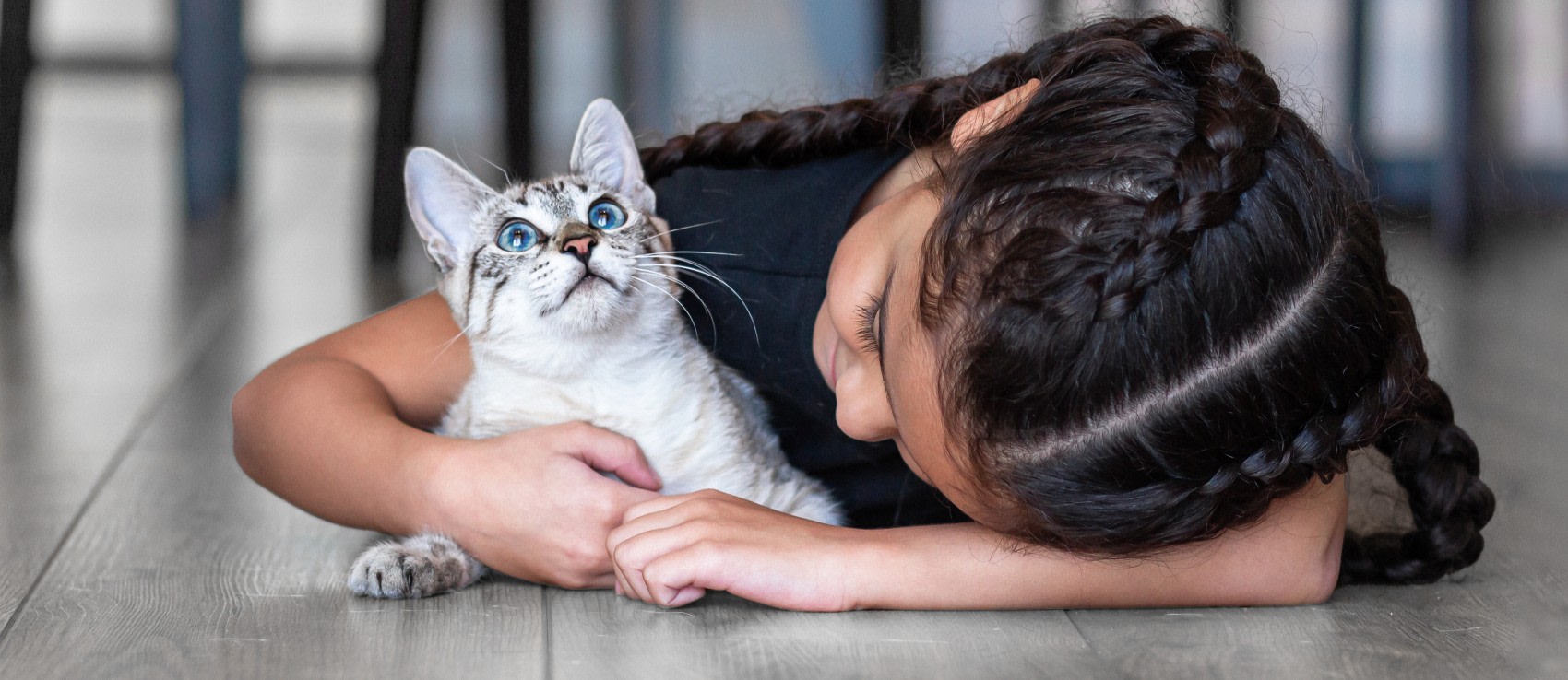 About Burlington Veterinary Emergency & Referral Hospital