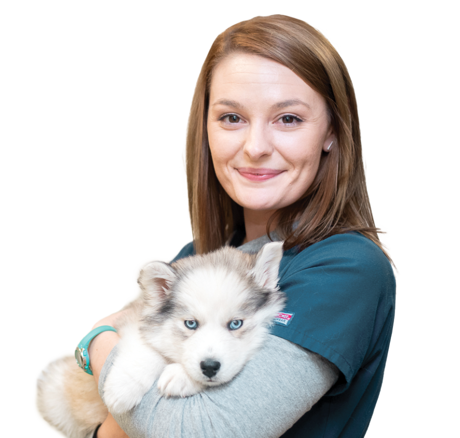 PetVet Cares Providing Care for Pets in Need and Supporting the 