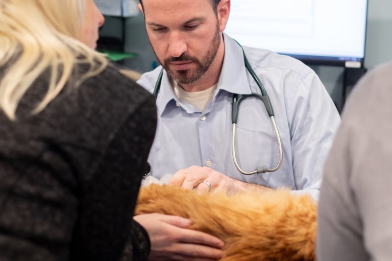 Specialty Veterinary Services