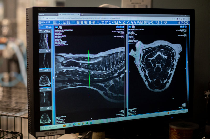 State-of-the-Art Diagnostics