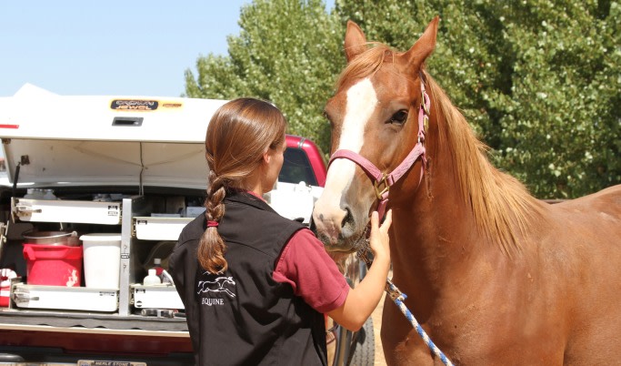 Pacific Crest Equine and Companion Animal Hospital