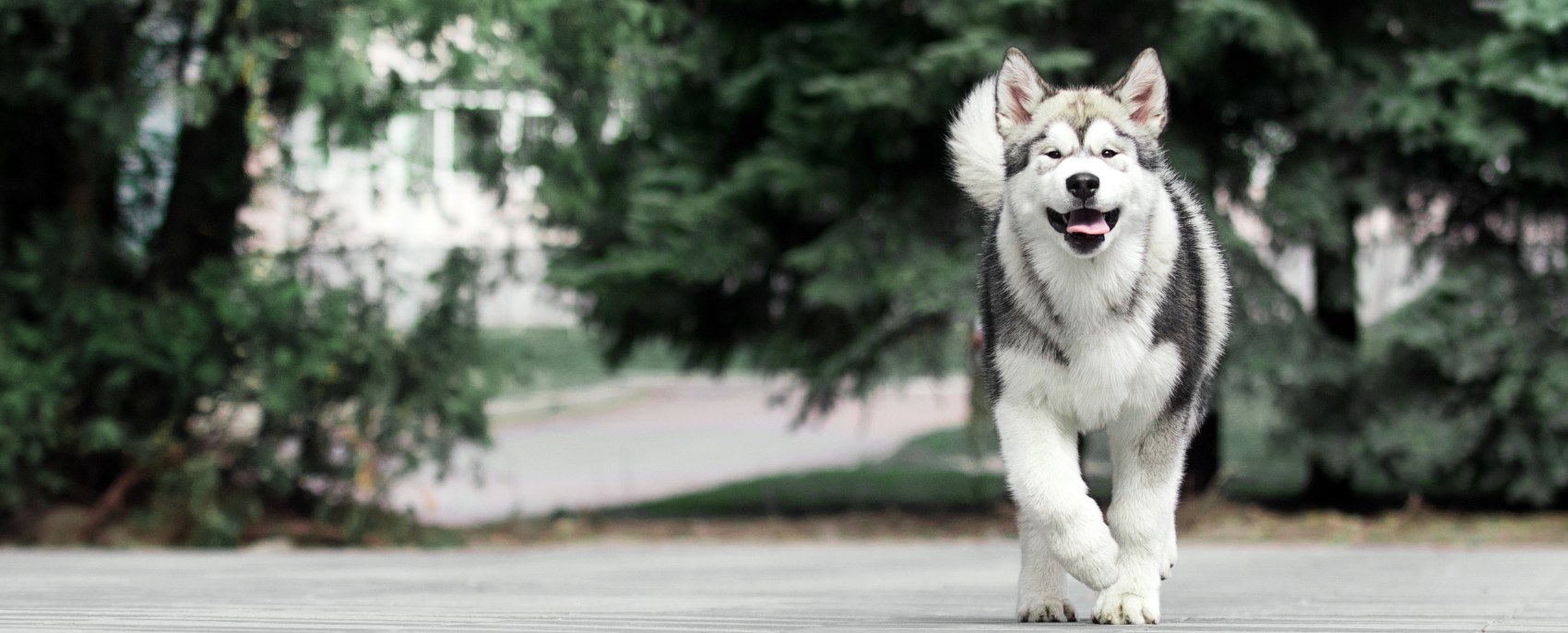 Quality Veterinary Care, Beloit