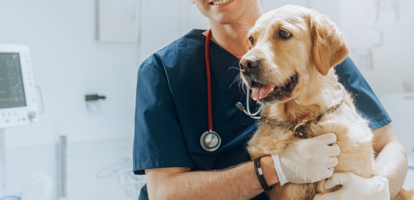 Collaborate With Hale Veterinary Clinic Guelph