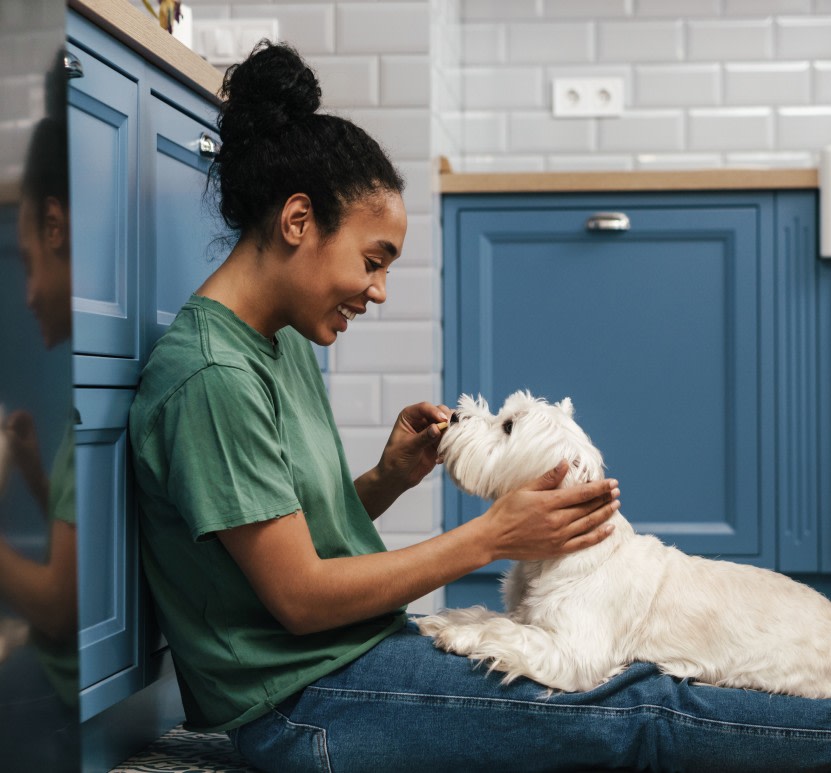 Care Coin Program at Creston Veterinary Hospital