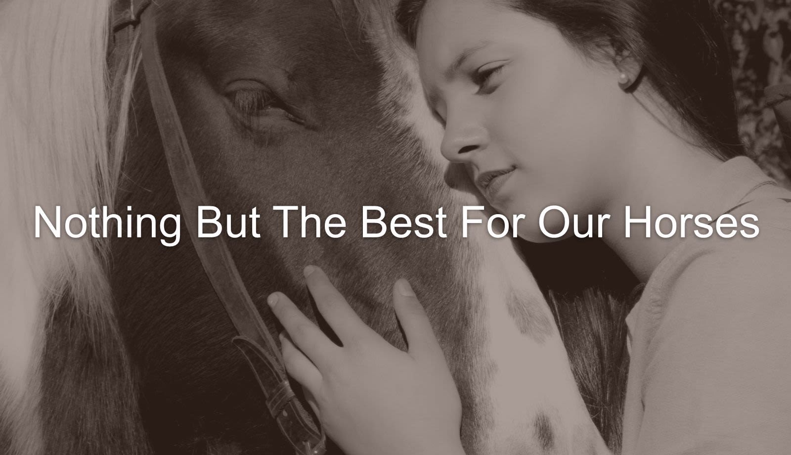 For the Love of Our Horses
