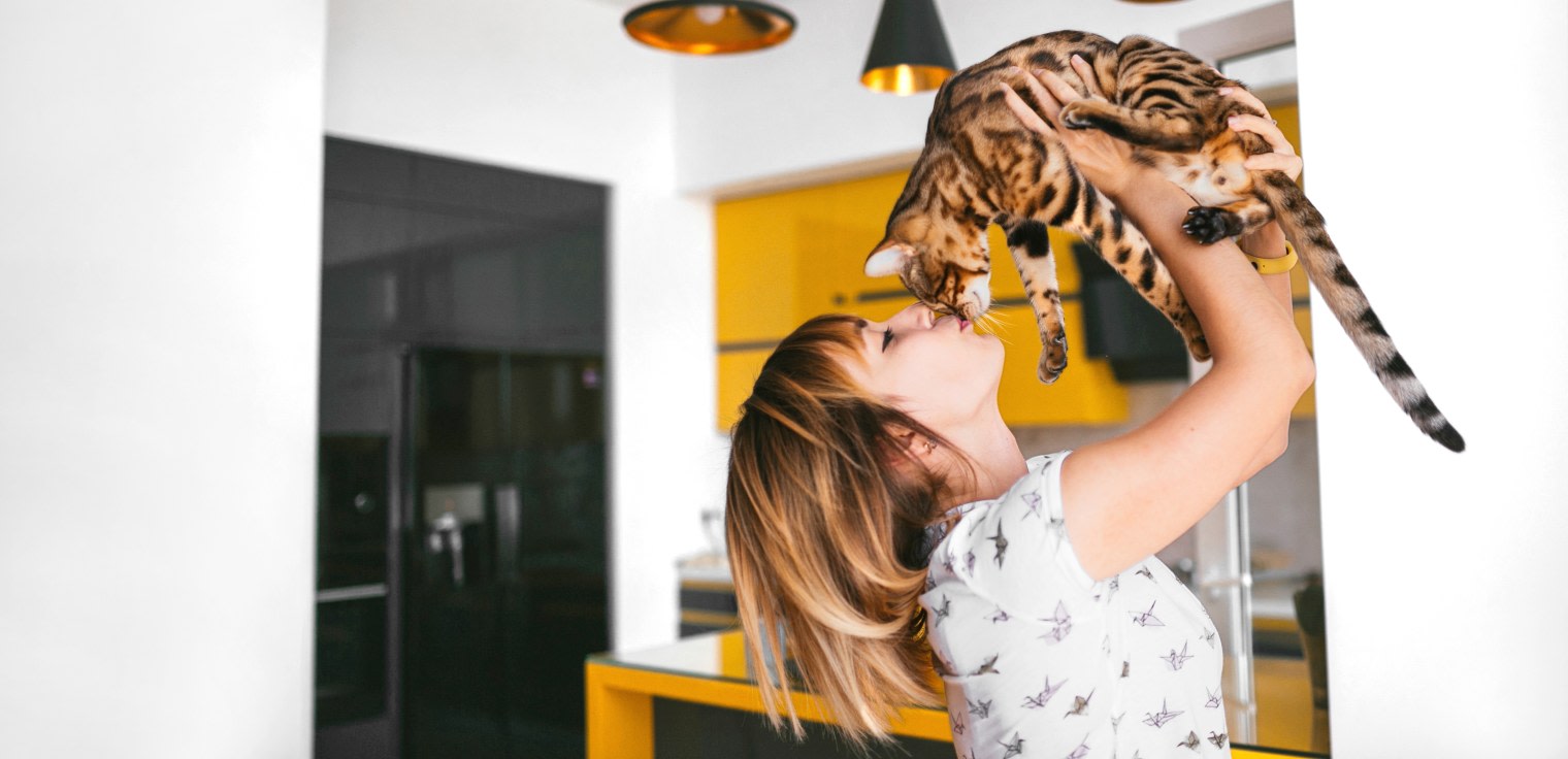 Core Veterinary Services, Kamloops