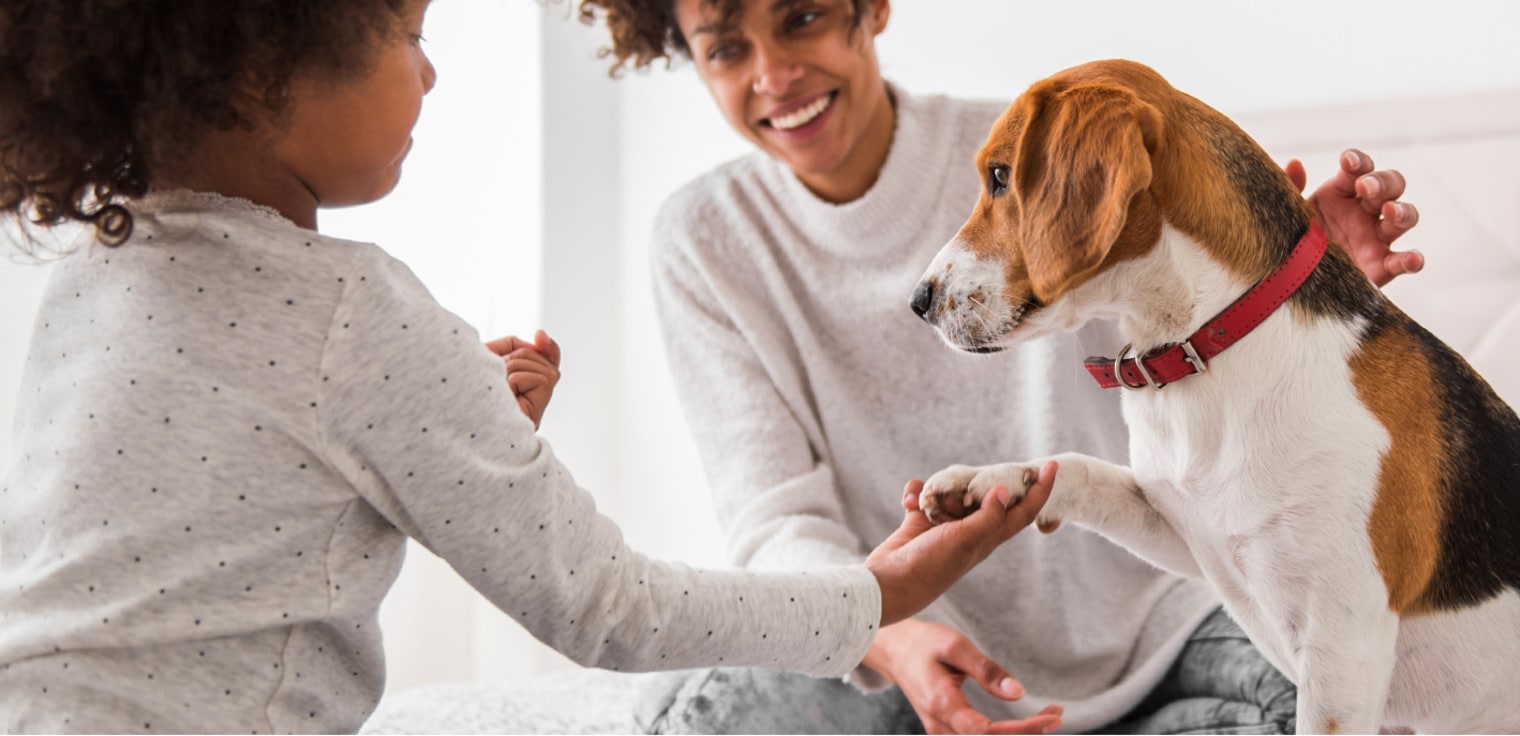 New Patient Welcome, Kamloops