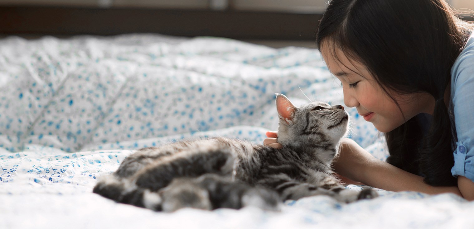 Complete Veterinary Services in Ottawa