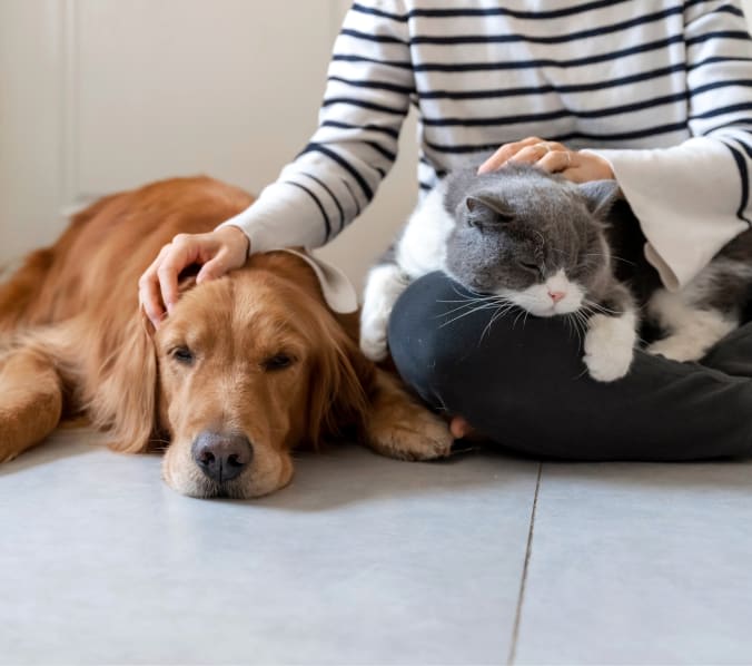 Open 6 Days a Week in South Charlotte