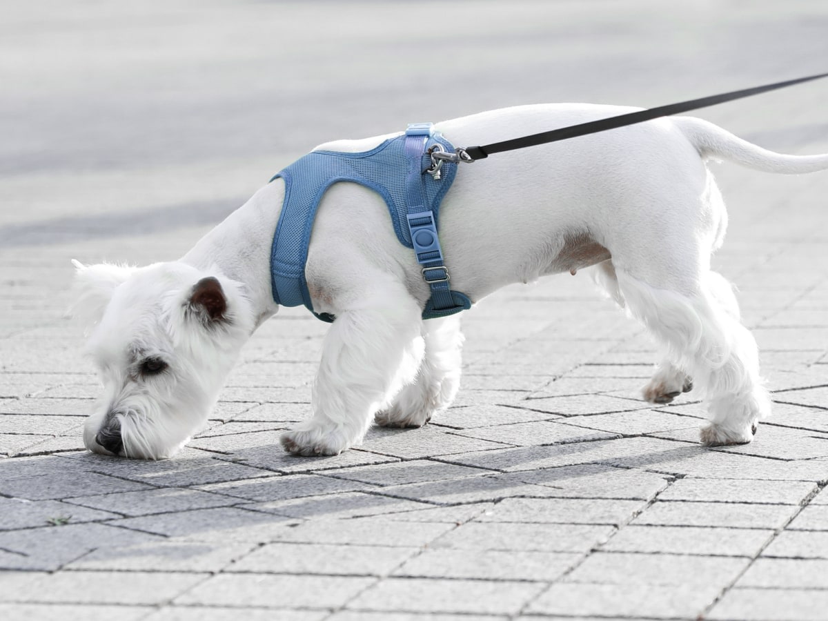 Open 7 Days a Week in Echo Park