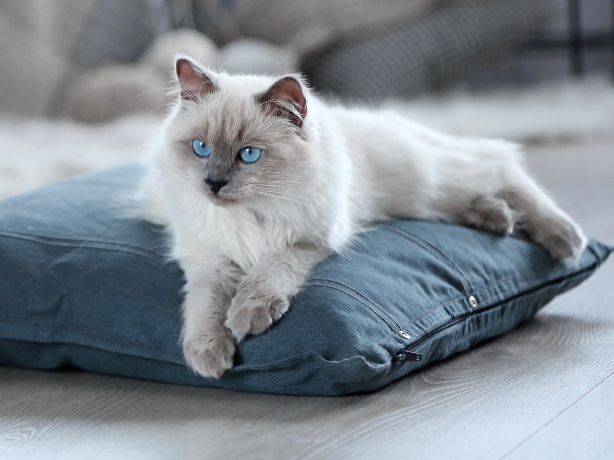 Open 7 Days a Week in Echo Park