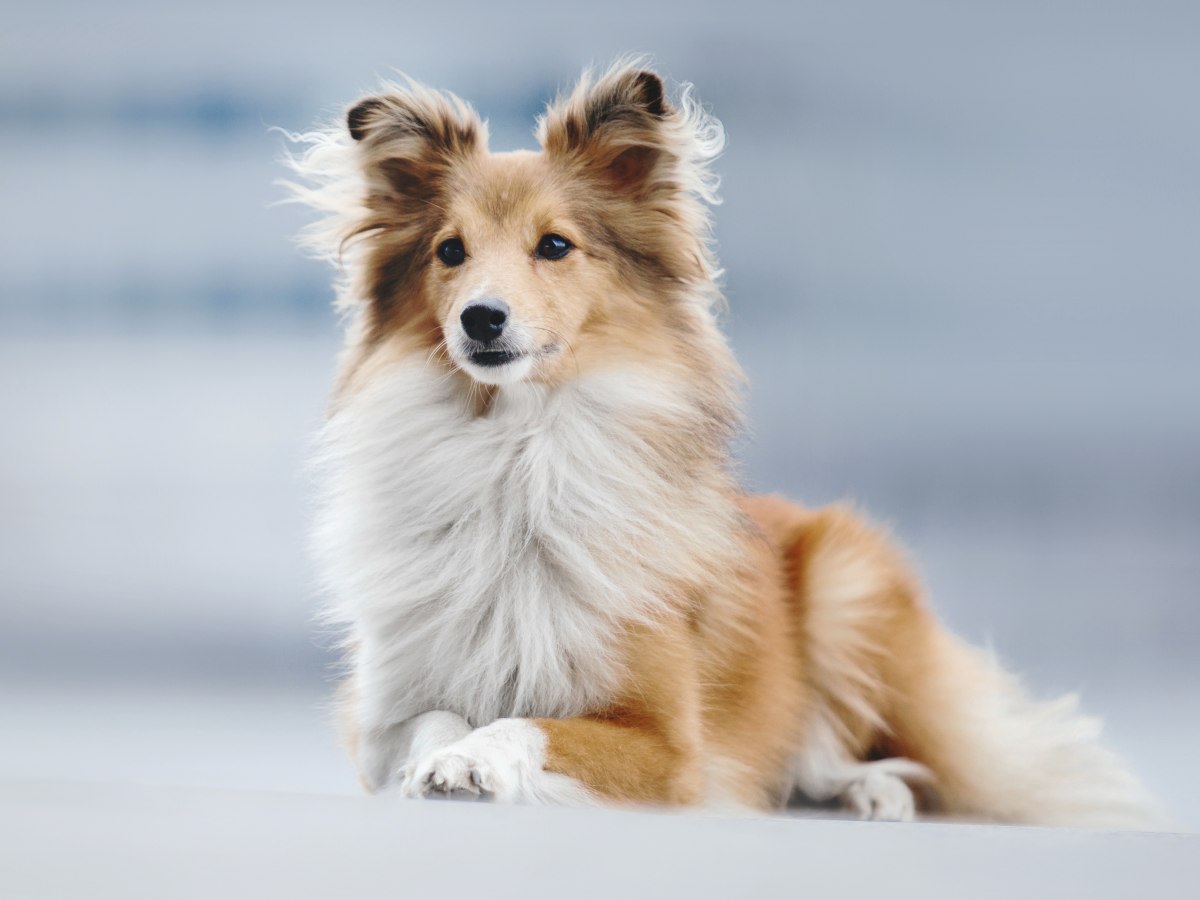 Open 7 Days a Week in Echo Park