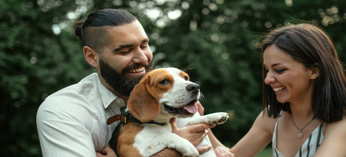 Quality Veterinary Care, Laguna Beach