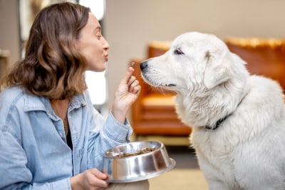Specialty Services in Nashua