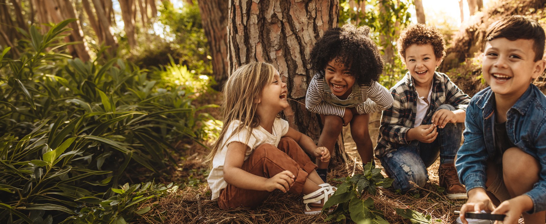 About Forest Hill Children's Dentistry