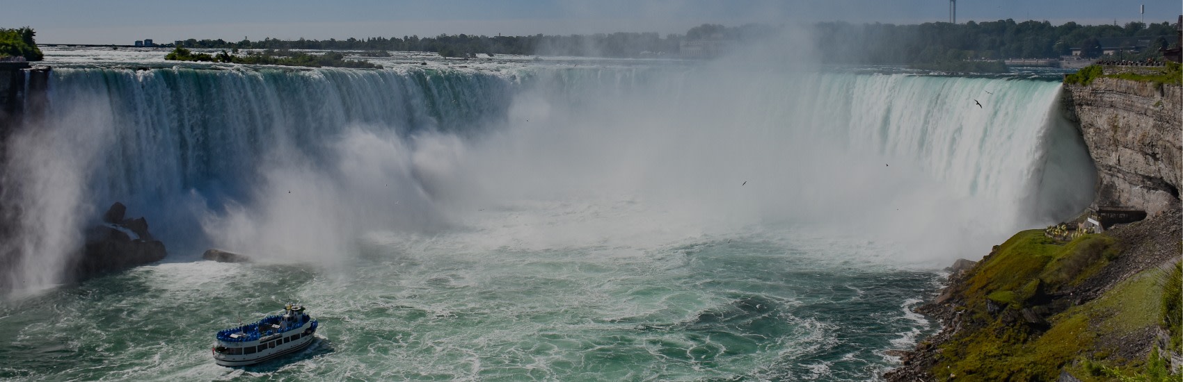 Contact Jewish Niagara
