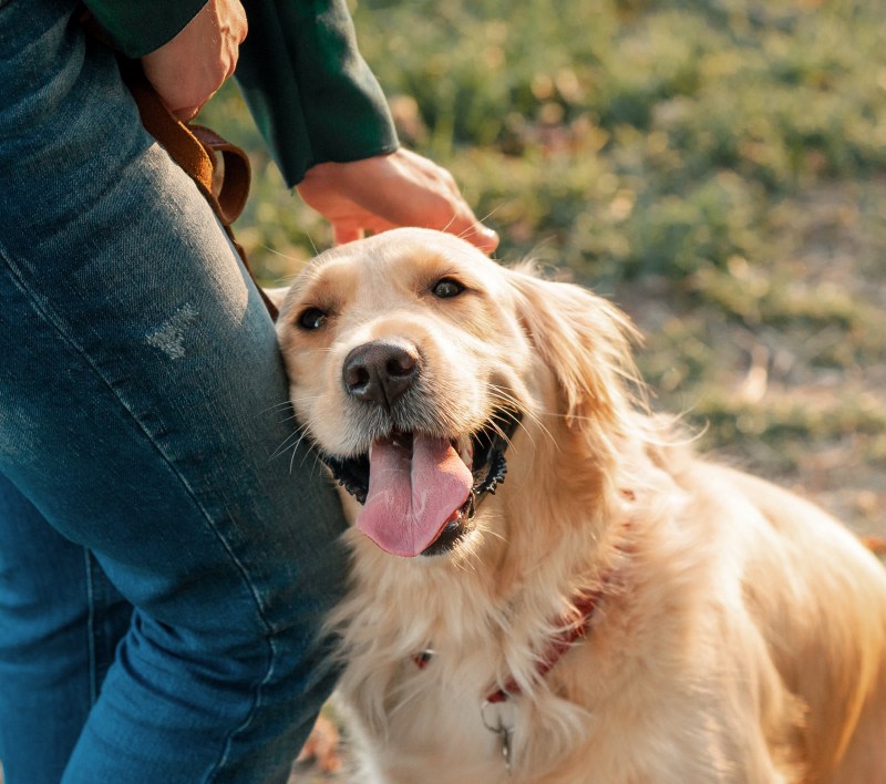 Quality Veterinary Care, Ceres