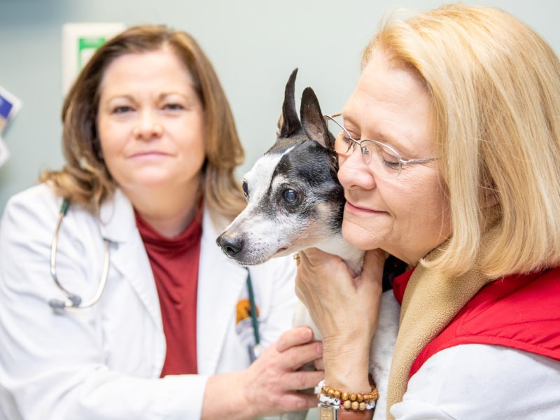 Compassionate veterinarians in Thomasville