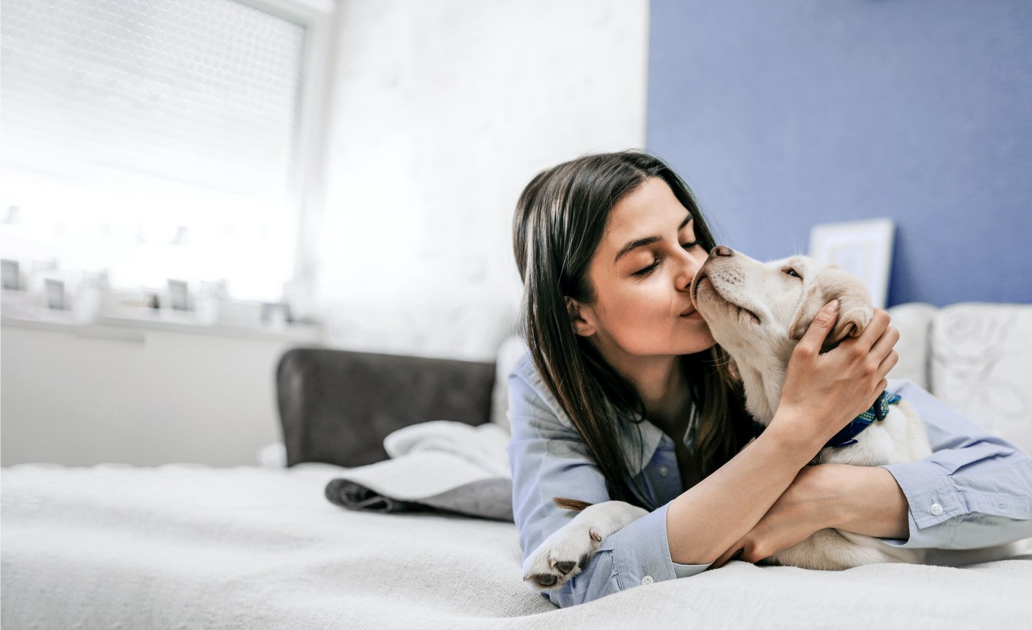 General & Emergency Veterinary Care, Orangeville