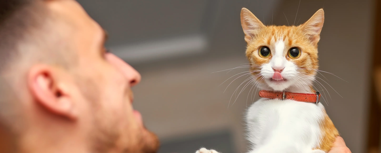 Quality Veterinary Care, Tucson