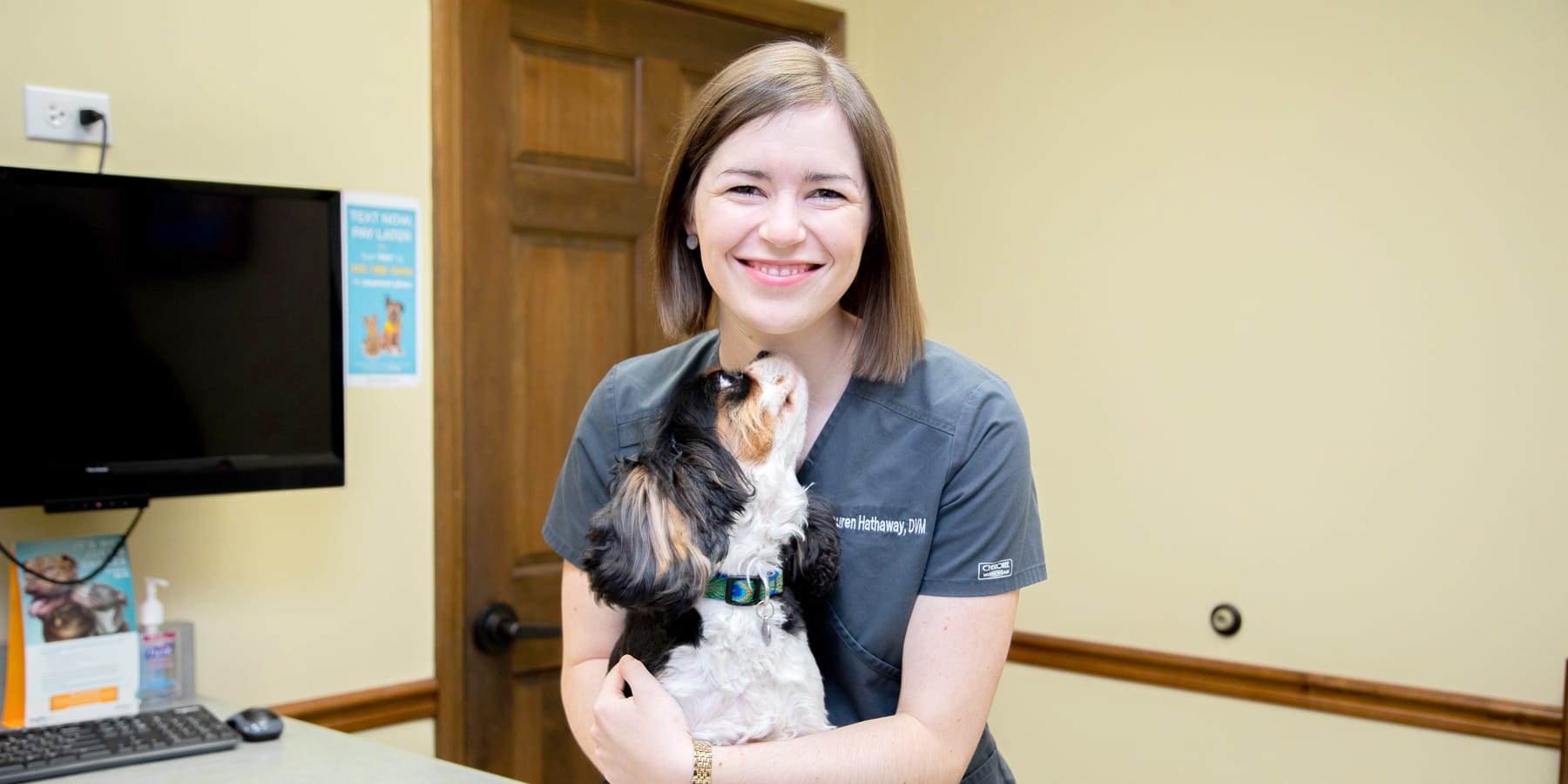 Compassionate, Experienced Veterinary Team