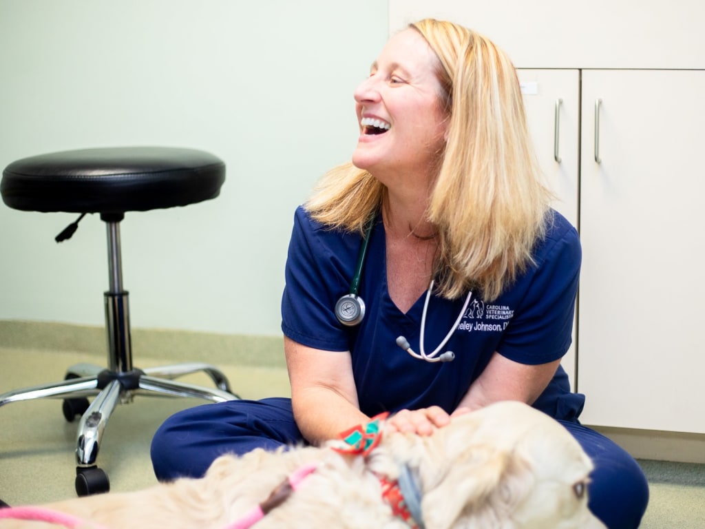 Specialty & Emergency Veterinary Care, Winston-Salem
