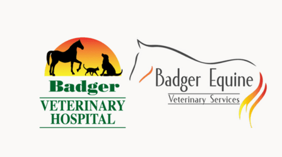 Badger Equine Veterinary Services