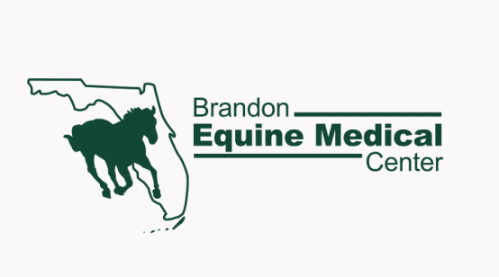 Brandon Equine Medical Center
