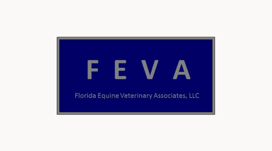 Florida Equine Veterinary Associates