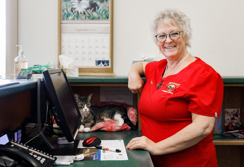 P3 Veterinary Partners Canadian Veterinary Practice Group