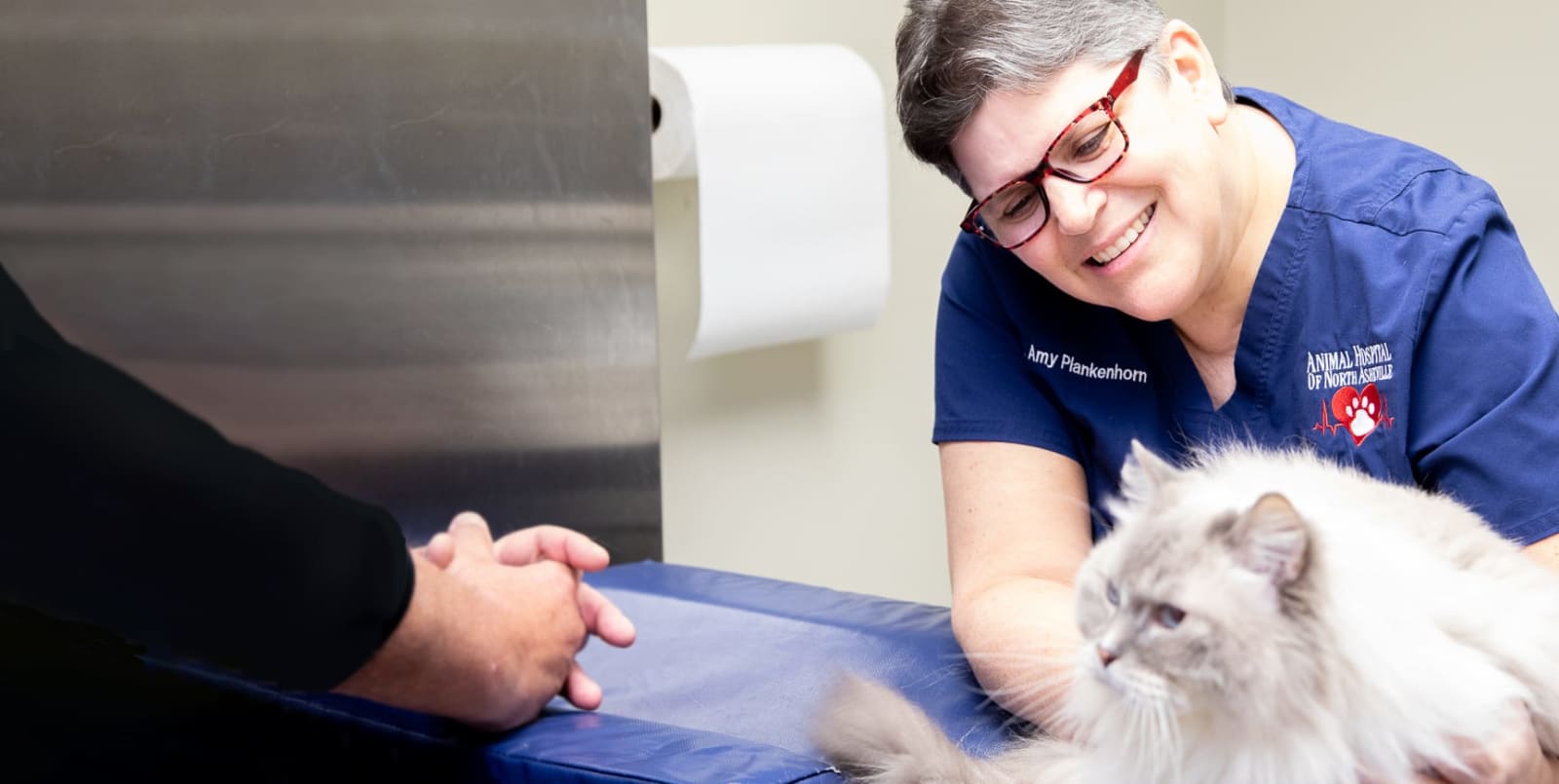 Essential Veterinary Services for Cats & Dogs in Asheville