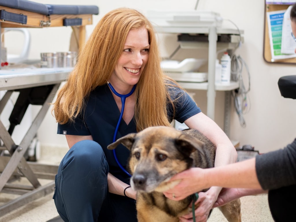 Specialty & Emergency Veterinary Care, Matthews
