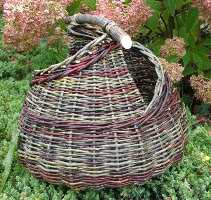 Basket Lakeshore Willows in Ontario