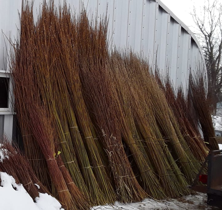 Willow Rods Lakeshore Willows in Ontario