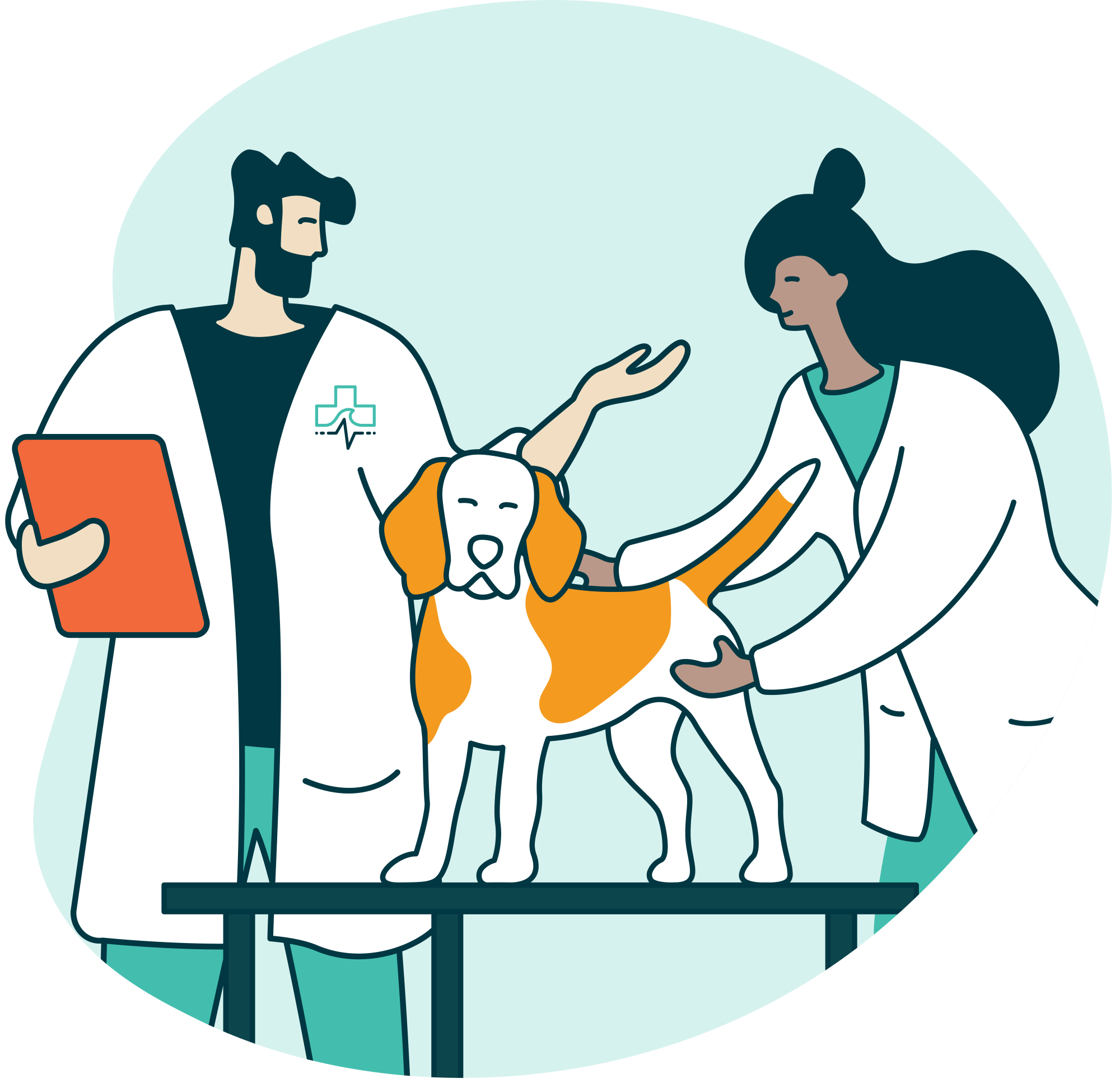Emergency & Specialty Veterinary Care, Halifax