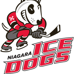 Niagara Icedogs