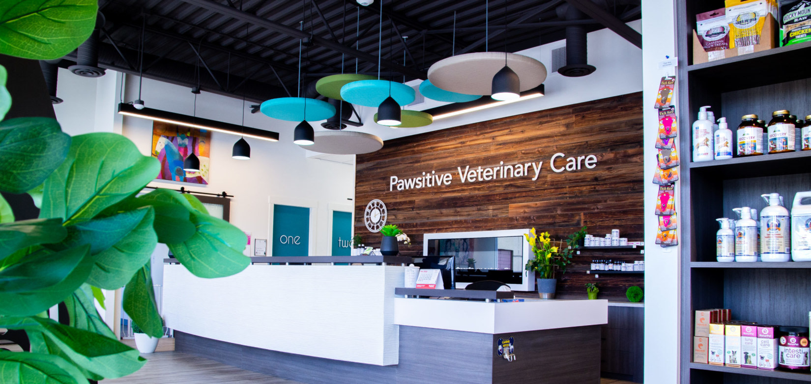 Shop Online with Pawsitive Veterinary Care