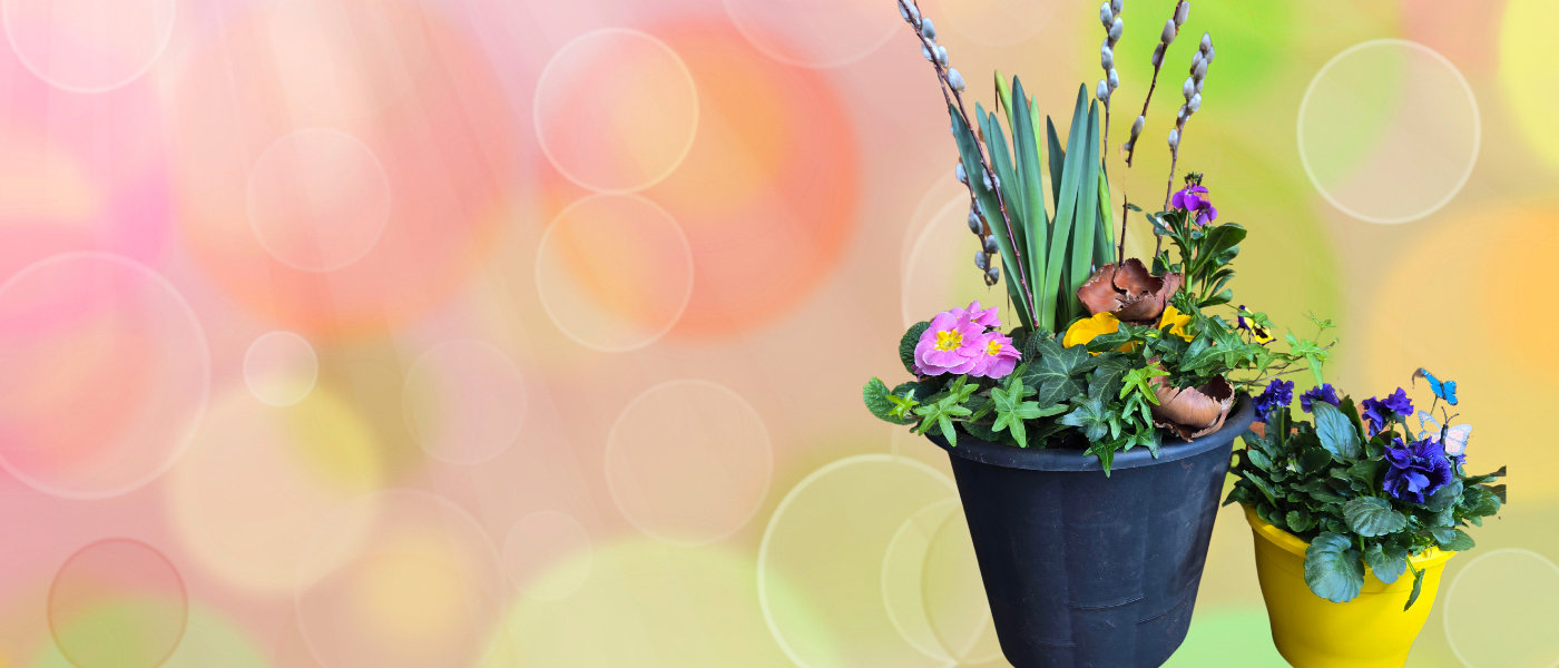 Spring Urn Workshops, Country Basket