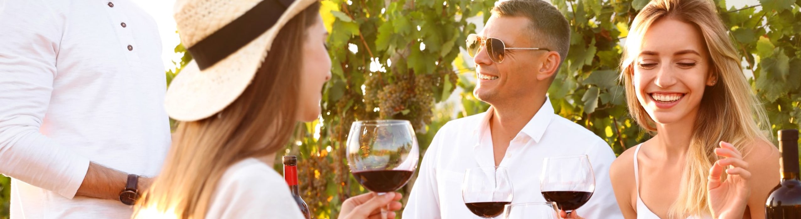 Book a Tour, Winery Guys Tours, Niagara Region, ON