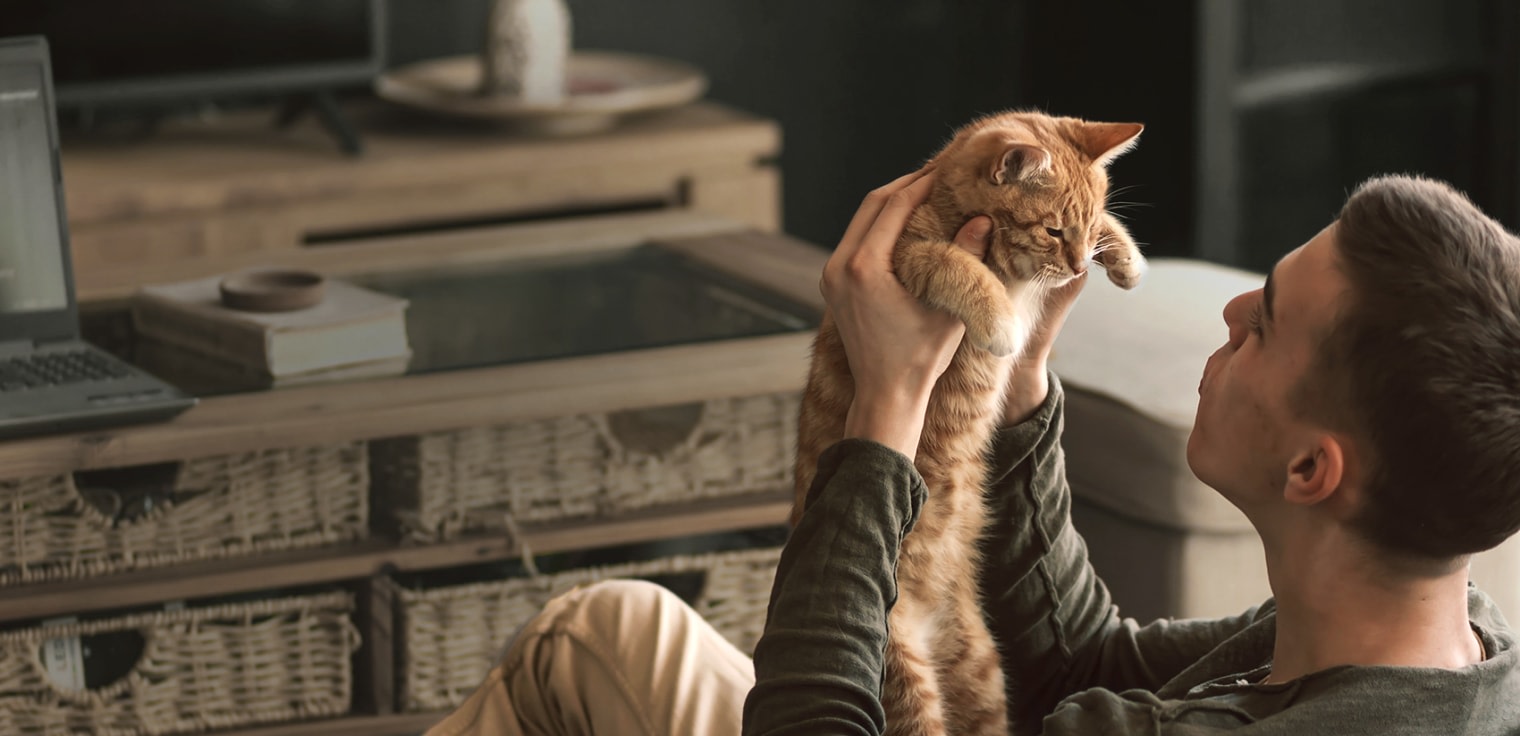 Fear Free Certified Veterinary Care, Halifax