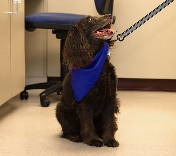 Open 6 Days a Week in South Charlotte