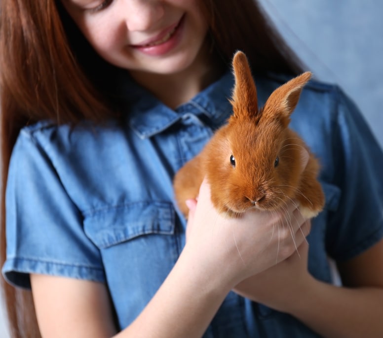 Caring for Exotic Pets in Kanata