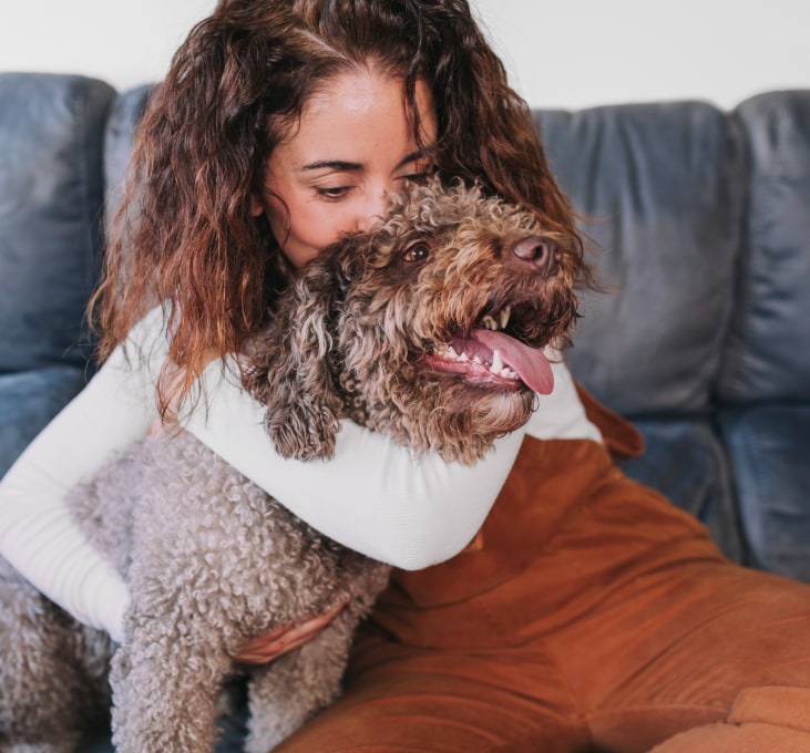 Book Online, Saint John